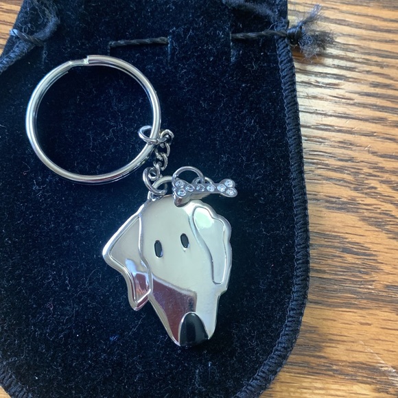 Stainless Steel Doggy Bling Bone Keychain - Picture 4 of 4